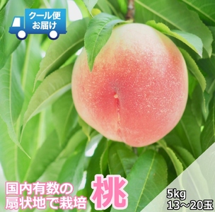 ＜2026年発送先行予約＞クール便 収穫当日に発送 【桃】5kg（13～20玉） ALPDG012