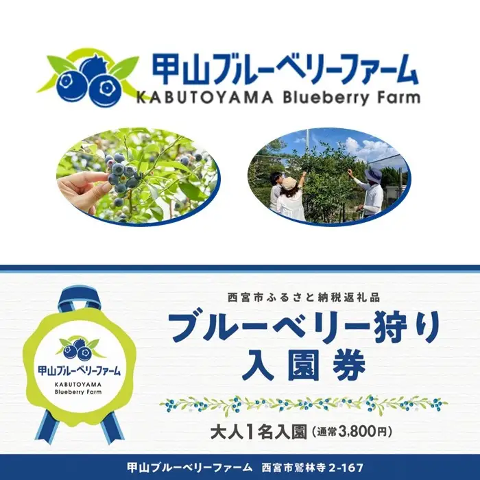 甲山ブルーベリーファーム ブルーベリー狩り入園券（大人1名）