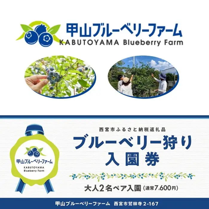 甲山ブルーベリーファーム ブルーベリー狩り入園券（大人2名ペア入園）