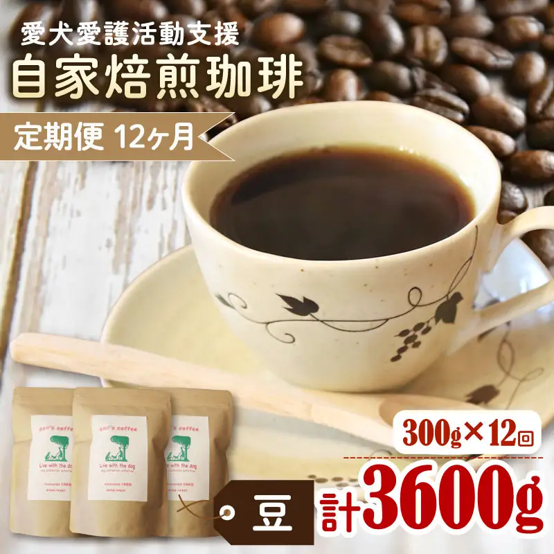 「自家焙煎コーヒー」 コーヒー 12か月定期便 100グラム3袋セット 自家焙煎コーヒー