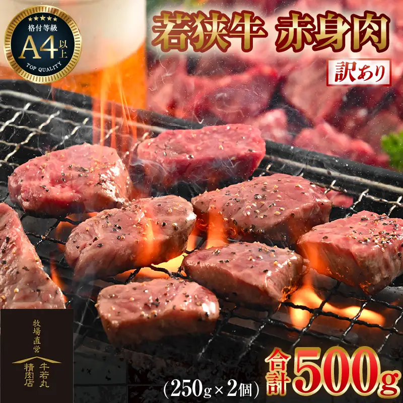 【訳あり】 若狭牛 赤身肉 500g（250g×2個）／ 焼肉 国産 ブランド牛 [aw009-a005]