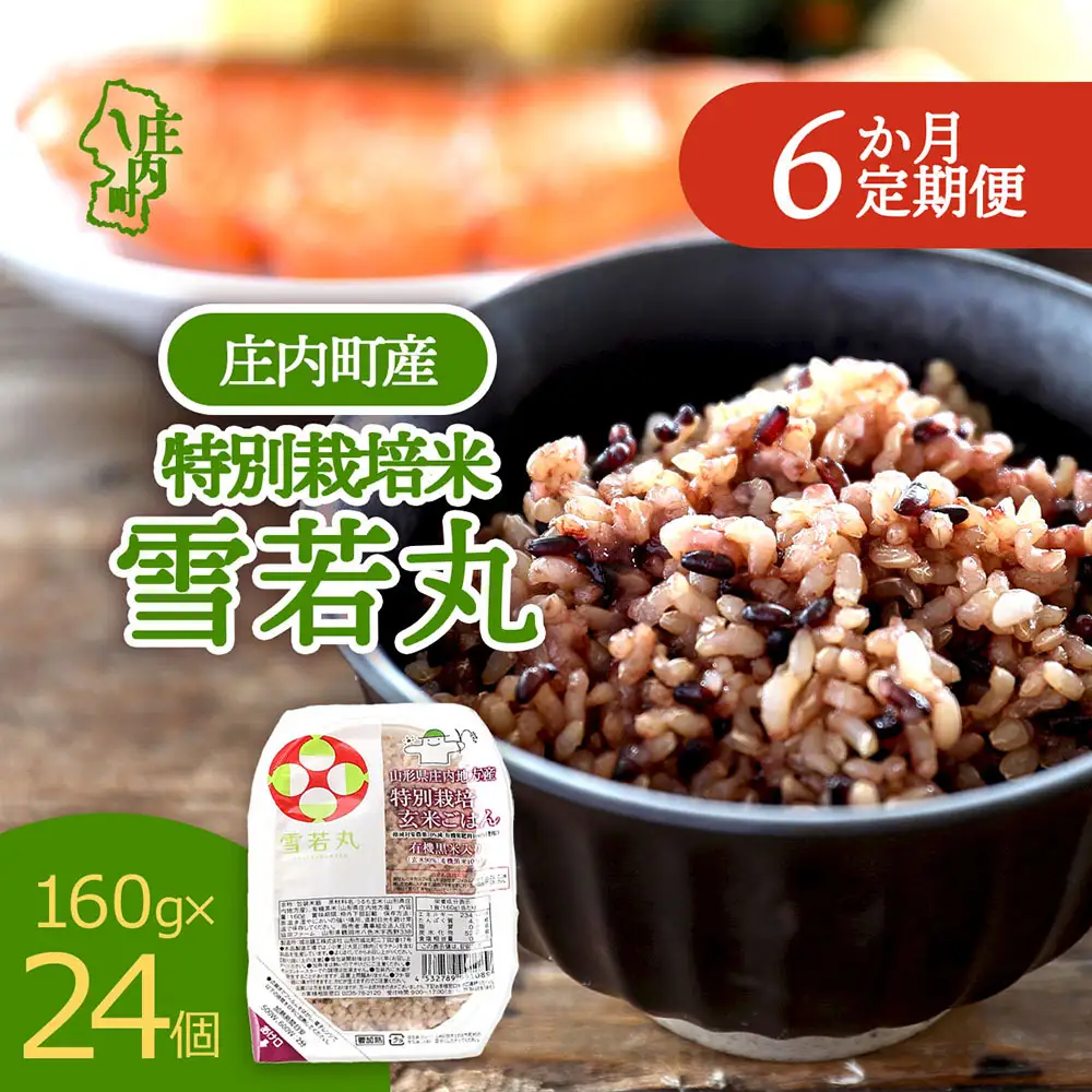 【6か月定期便】雪若丸 玄米 パックごはん 160g×24個 有機黒米入 健康 ダイエット パック ライス ごはん 備蓄 保存食 防災 簡単レンジ 温めるだけ 湯煎調理 定期【7月中旬発送/入金期限：2026年6月25日】