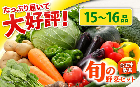 合志の旬のお野菜セット 15品から16品  野菜[AYAB112]