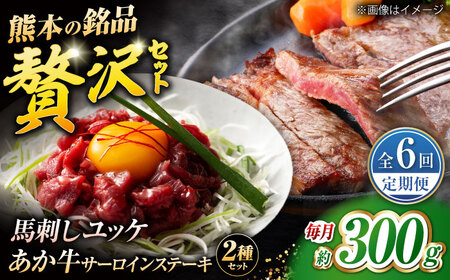【全6回定期便】くまもとあか牛サーロインステーキと国産馬刺しユッケ贅沢セット 計約300g【有限会社 スイートサプライなかぞの】[ZBV095]