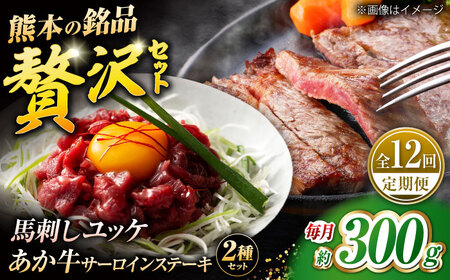 【全12回定期便】くまもとあか牛サーロインステーキと国産馬刺しユッケ贅沢セット 計約300g【有限会社 スイートサプライなかぞの】[ZBV096]