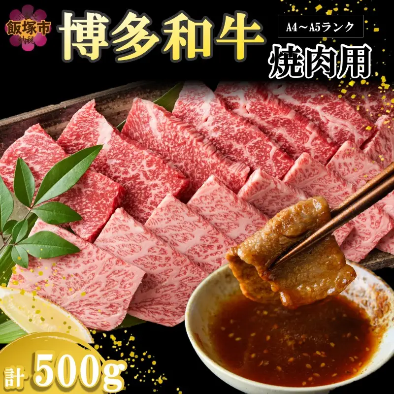 【A4-A5ランク】博多和牛焼肉用(バラ肉・肩ロース肉・モモ肉) 500g【A9-019】