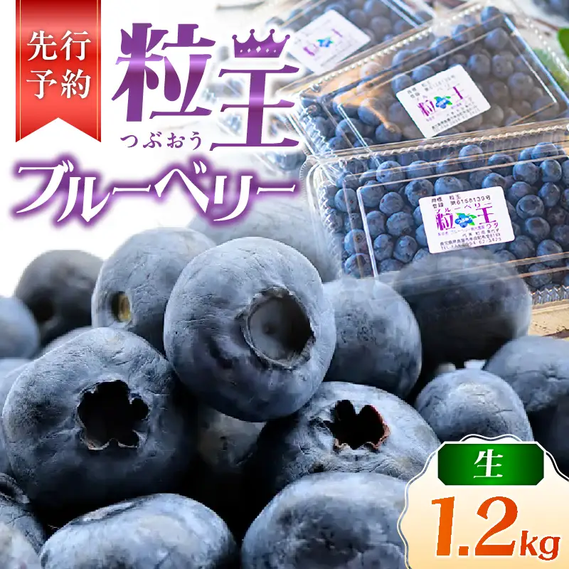 【 期間限定 】 【先行予約】1217-1 粒王 生 ブルーベリー 1.2kg（ 400g × 3P ） KN030-002-01 果物