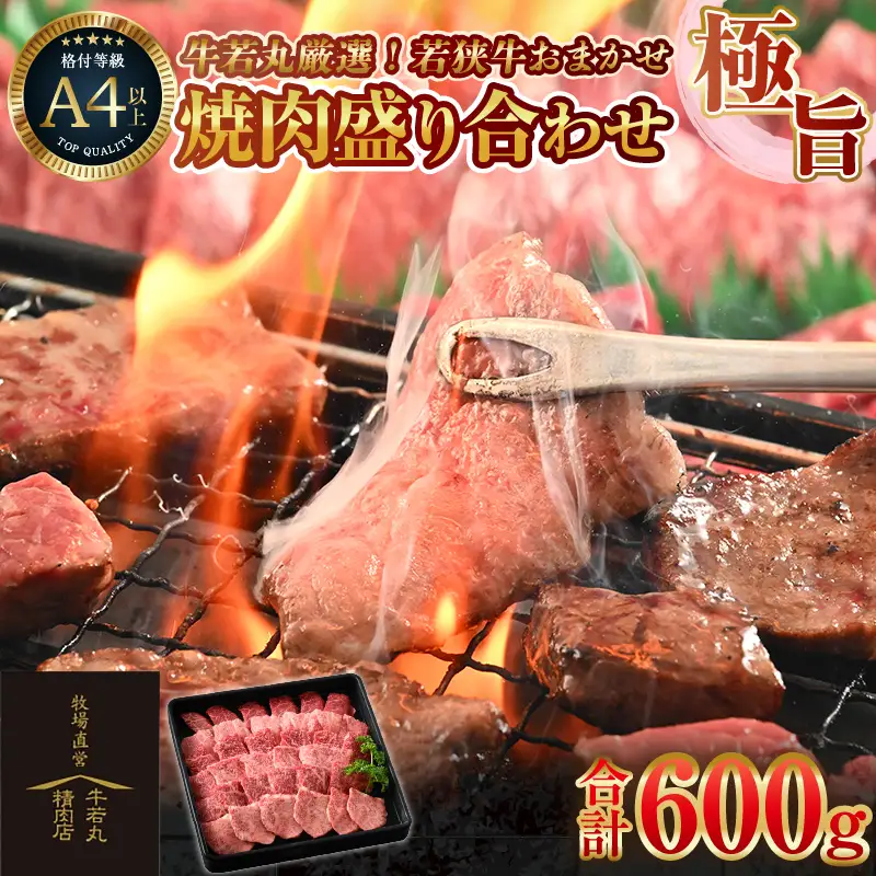 牛若丸厳選！若狭牛おまかせ極旨焼肉盛り合わせ 600g ／ 焼肉 国産 ブランド牛 [aw009-b002]