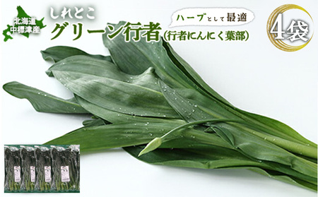 【ハーブとして最適】行者にんにくグリーン行者×4袋 （葉部）【2002001】