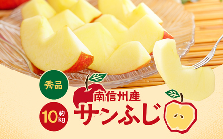 長野県産 りんご ( サンふじ ) 約10kg ＜2026年11月下旬～12月中旬発送＞ | 長野県 飯田市