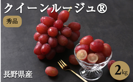 長野県産 クイーンルージュ R 秀品 約1kg〈2026年10月中旬～11月上旬発送〉 | 長野県 飯田市