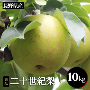 滴る程にジューシーな 梨 長野県産 なし 二十世紀 約10kg 秀品〈2026年9月上旬～9月末発送〉| 長野県 飯田市