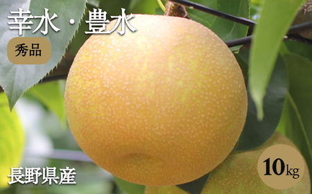 溢れる果汁 ジューシーな 梨 幸水 豊水 秀品 約10kg〈2026年8月下旬～9月中旬発送〉| 長野県 飯田市