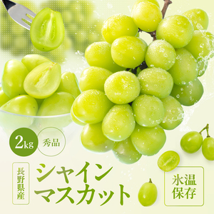 氷温貯蔵 長野県産 シャインマスカット 約2kg 秀品 〈2026年11月上旬～12月下旬発送〉| 長野県 飯田市