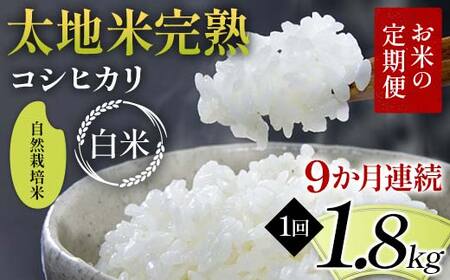 【先行予約】お米の定期便 自然栽培米 太地米完熟 【こしひかり】 白米1.8kg×9か月連続 ブランド米 お米 精米 白米 人気 F7X-0750
