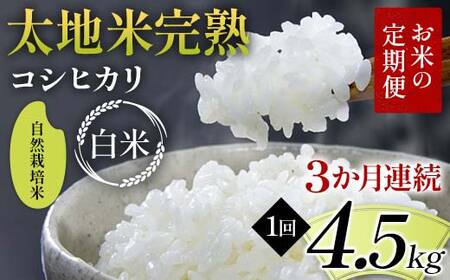 【先行予約】お米の定期便 自然栽培米 太地米完熟 【こしひかり】 白米4.5kg×3か月連続 ブランド米 お米 精米 白米 人気 F7X-0764