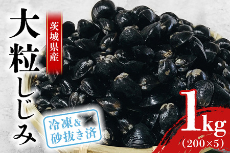 涸沼産 冷凍しじみ 大粒 1kg（200g×5p）【石岡市・水戸市共通返礼品】 しじみ シジミ 蜆 国産 小分け 砂抜き不要 冷凍 冷凍保存 海鮮 貝 魚貝類 魚介類 魚貝 魚介 味噌汁 みそ汁 酒蒸し おつまみ しじみ汁 C10-001