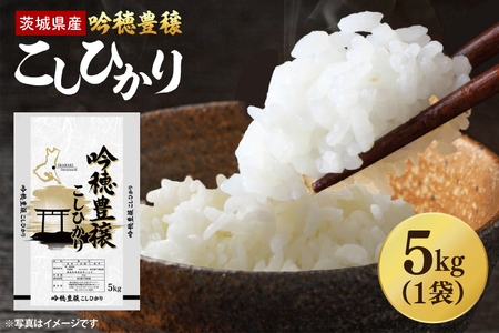 ＜令和7年産＞吟穂豊穣こしひかり 5kg 精米 米 茨城県産_EG007