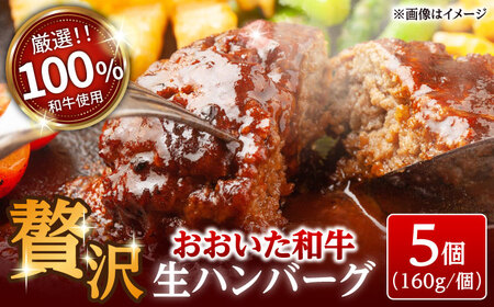 厳選 おおいた和牛100% 生ハンバーグ 160g×5個 日田市 おおいた和牛 牛肉 ハンバーグ [ARFE003]