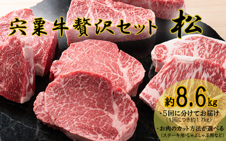 F12　宍粟牛贅沢セット【松：8.6Kg】【 ステーキ しゃぶしゃぶ 定期発送 冷蔵発送 宍粟牛 国産和牛 黒毛和牛 国産 3年肥育 牛肉 御中元 贈り物 BBQ キャンプ ご褒美】