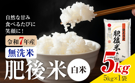 熊本県産 肥後米 無洗米 白米 5kg 1袋5kg 米 お米 令和7年産 九州産 熊本県産 ブレンド米 送料無料《30日以内に出荷予定（土日祝除く）》 無洗米 白米 米