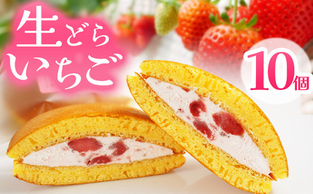 生どらいちご 10個 | いちご とちあいか 生どら どらやき お菓子 お茶菓子 菓子 お茶請け おちゃうけ おやつ ご褒美 贈答用 おいしい あまい スイーツ 和菓子 お茶 栃木県 那珂川町 送料無料