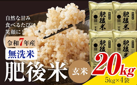 熊本県産 肥後米 無洗米 玄米 20kg 1袋5kg 米 お米 令和7年産 九州産 熊本県産 ブレンド米 送料無料《30日以内に出荷予定（土日祝除く）》玄米 無洗米 米