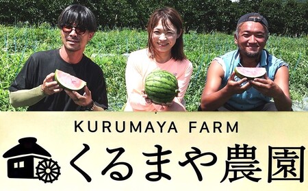 【フルーツ王国直送！】山形の小玉すいか（ひとりじめBONBON）１個　0033-2601