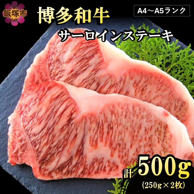 【A4-A5ランク】博多和牛サーロインステーキ 500g【B4-042】