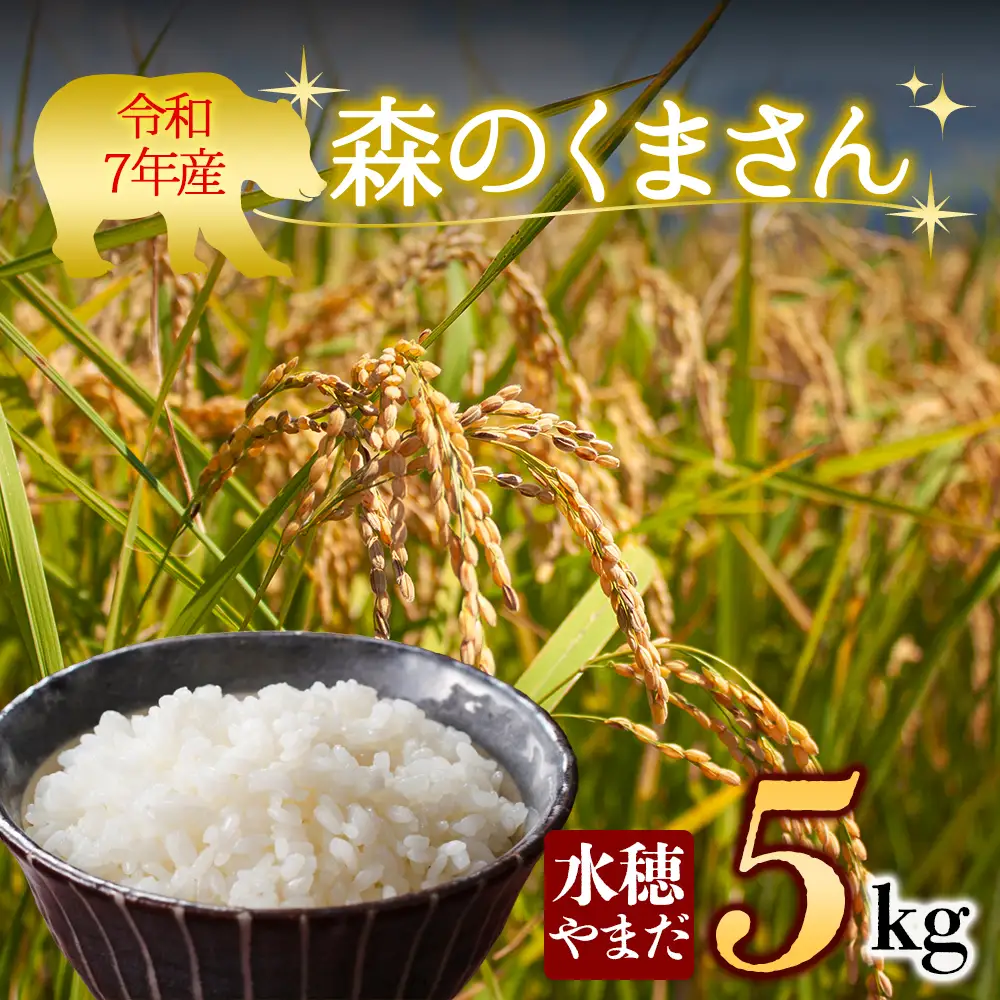 令和7年産　森のくまさん 5kg　水穂やまだ  グランプリ獲得 お米 米 人気 美味しい 弾力 粘り 食感 湧水 熊本 阿蘇