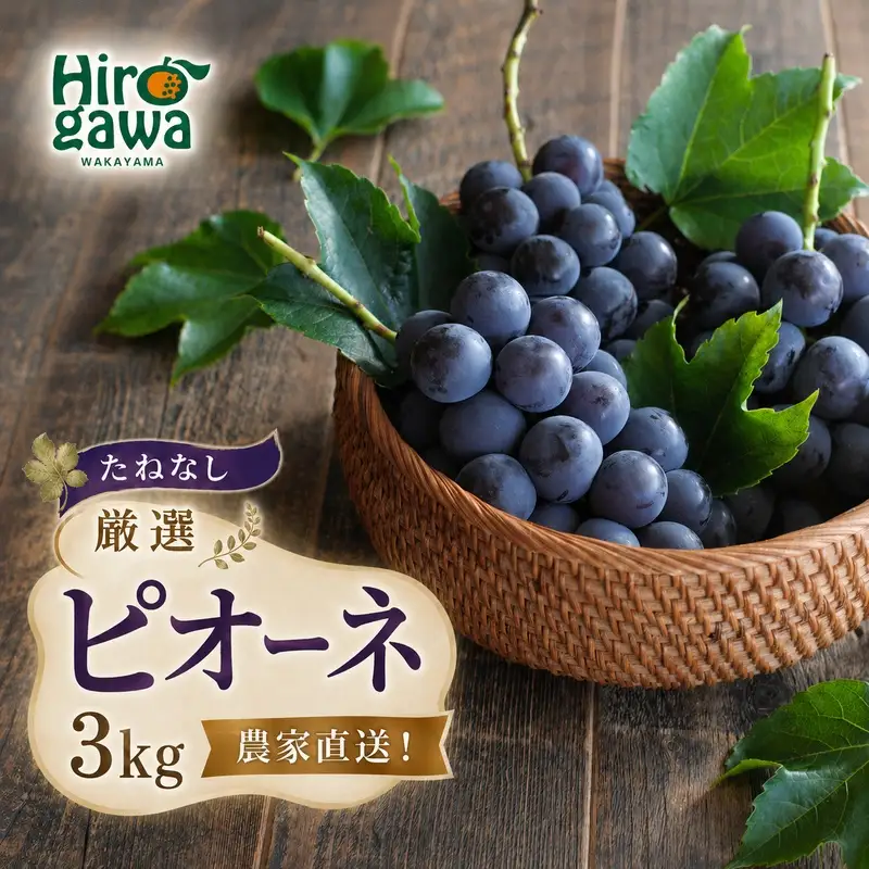 ピオーネ たねなし 3kg 厳選 / ぶどう 種無し 甘い 高級 和歌山 種無しピオーネ ※2026年8月中旬～9月中旬に順次発送 ※北海道・沖縄・離島への配送不可 【tec511-p-3B】