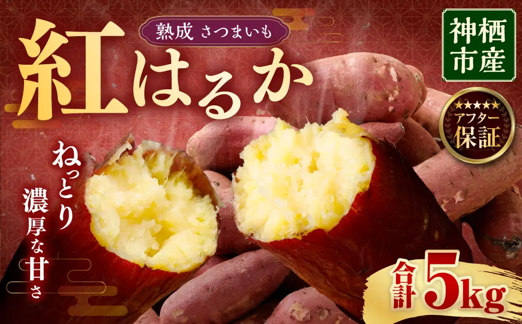 “熟成” 茨城県産 神栖市産 さつまいも 【 紅はるか 】 約5kg 芋 いも サツマイモ 野菜 やさい 国産 