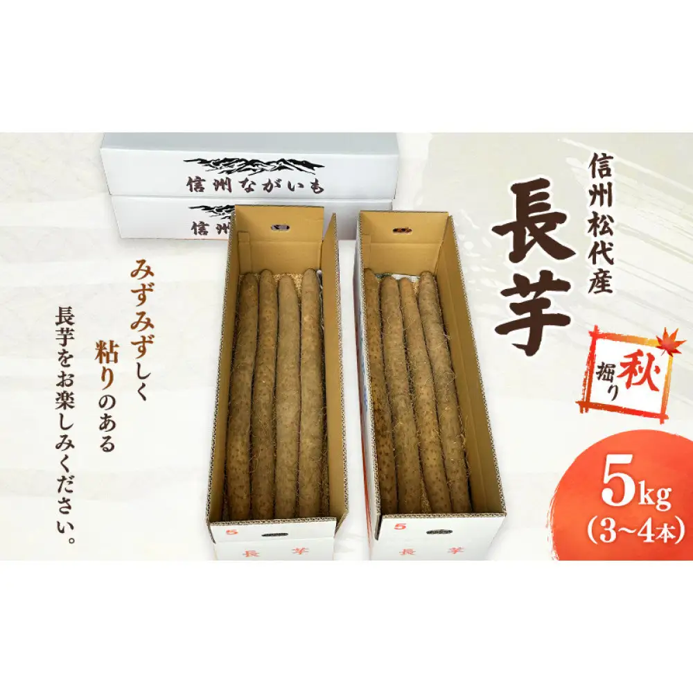 長芋（秋堀り）5kg | 長いも 秋堀り シャキシャキ 粘り