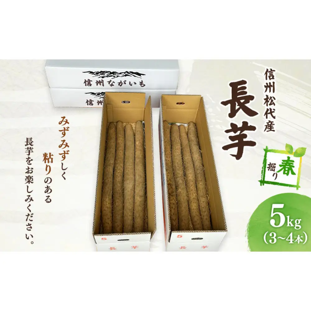 長芋（春堀り）5kg | 長いも 春堀り シャキシャキ 粘り