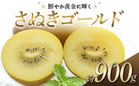 【先行予約】《2026年10月～2027年1月頃お届け》 さぬきゴールド 鮮やか黄金に輝く ゴールドキウイ 約900g 香川県産 大粒キウイ キウイフルーツ ゴールデンキウイ フルーツ 果物 くだもの 旬のフルーツ 旬の果物 香川 香川県共通返礼品 F5J-1022