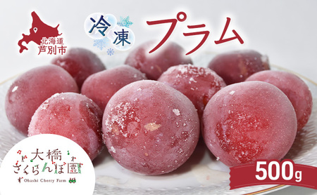 冷凍プラム 500g 冷凍 プラム 果物 くだもの フルーツ 旬の果物 旬のフルーツ 大橋さくらんぼ園 果物類 フルーツ デザート 完熟 急速冷凍 新鮮 美味しい 人気 冷凍配送 北海道 芦別市