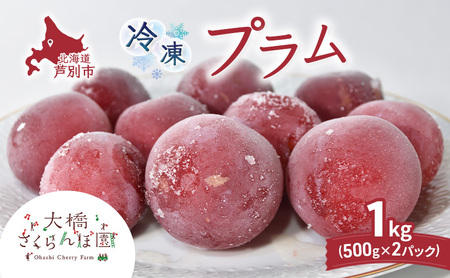 冷凍プラム 500g × 2パック 1kg 冷凍 プラム 果物 くだもの フルーツ 旬の果物 旬のフルーツ 大橋さくらんぼ園 果物類 フルーツ デザート 完熟 急速冷凍 新鮮 美味しい 人気 冷凍配送 北海道 芦別市