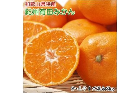 [秀品]和歌山有田みかん約3kg(S～Lサイズ混合) 