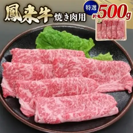 特選鳳来牛(焼き肉用) ふるさと納税限定品　約500g【配送不可地域：離島・北海道・沖縄県・東北・中国・四国・九州】【1209527】
