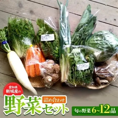 新城産の野菜詰め合わせセット【配送不可地域：離島】【1240827】