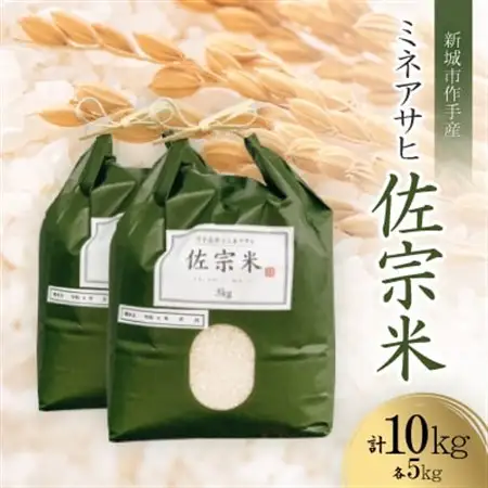 愛知県:新城市作手産【佐宗米ミネアサヒ】10kg (5kg×2袋)【1556382】