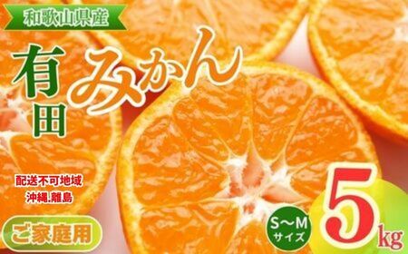 【先行予約】【ご家庭用】和歌山有田みかん約5kg(S、Mサイズ) ｜ みかん