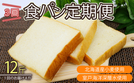3回 定期便 食パン 海洋深層水食パン 3斤 [ロマンド 高知県 rm006]
