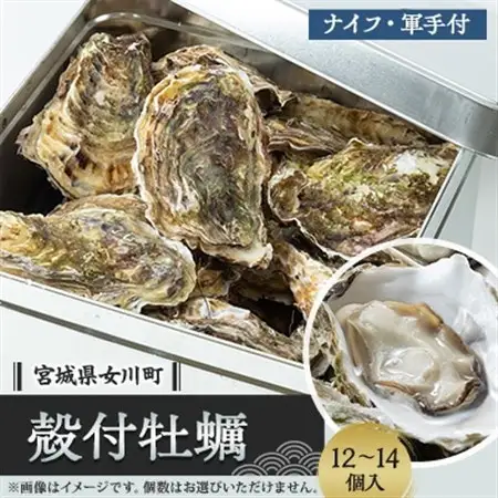 潮香焼セット(殻付き牡蠣・カンカン焼き)ナイフ・軍手入り【配送不可地域：離島・沖縄県・九州】【1312854】