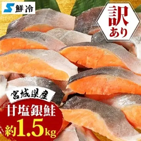 訳あり　銀鮭　宮城県産　甘塩　切身　約1.5kg　国産/三陸　女川町【配送不可地域：離島】【1525306】