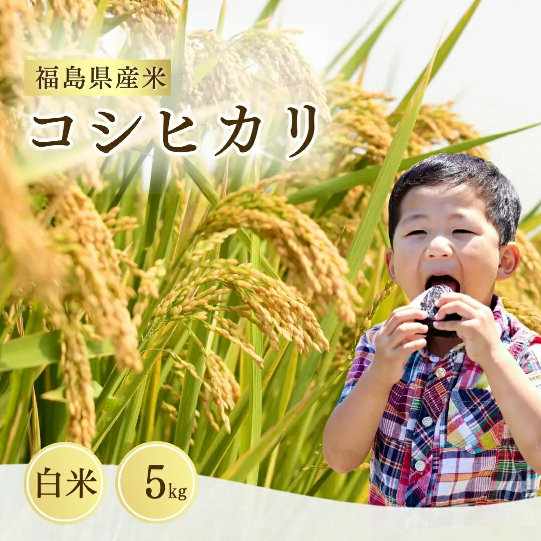 コシヒカリ 白米 5kg 令和7年産 サムランド｜精米 ギフト 南相馬