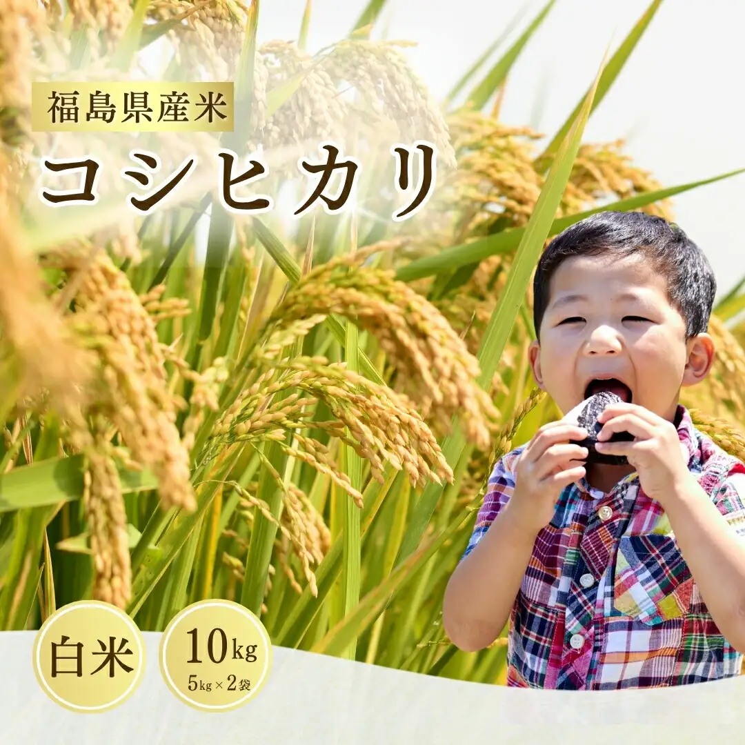 コシヒカリ 白米 10キロ（5kg×2袋）令和7年産｜無洗米 ギフト 南相馬