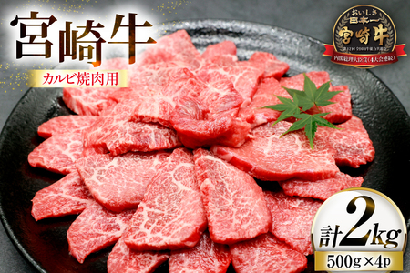 牛肉 宮崎牛 カルビ 焼肉用 500g 4p 計 2kg [ローカルブランディング 宮崎県 日向市 452061523]