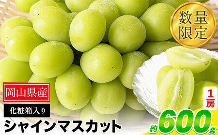 秀品 シャインマスカット 約600g　ｼｬｲﾝﾏｽｶｯﾄ