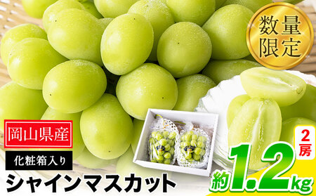 秀品 シャインマスカット 約1.2kg　ｼｬｲﾝﾏｽｶｯﾄ